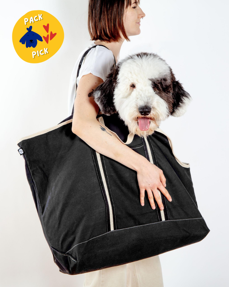 DOG & CO. COLLECTION | City Carrier Dog Bag in Size 4 | DOG & CO.