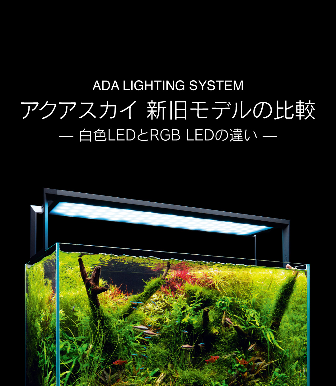 ADA RGB LED 「太陽光を超えた理想の光を探求する」 | AQUA DESIGN AMANO