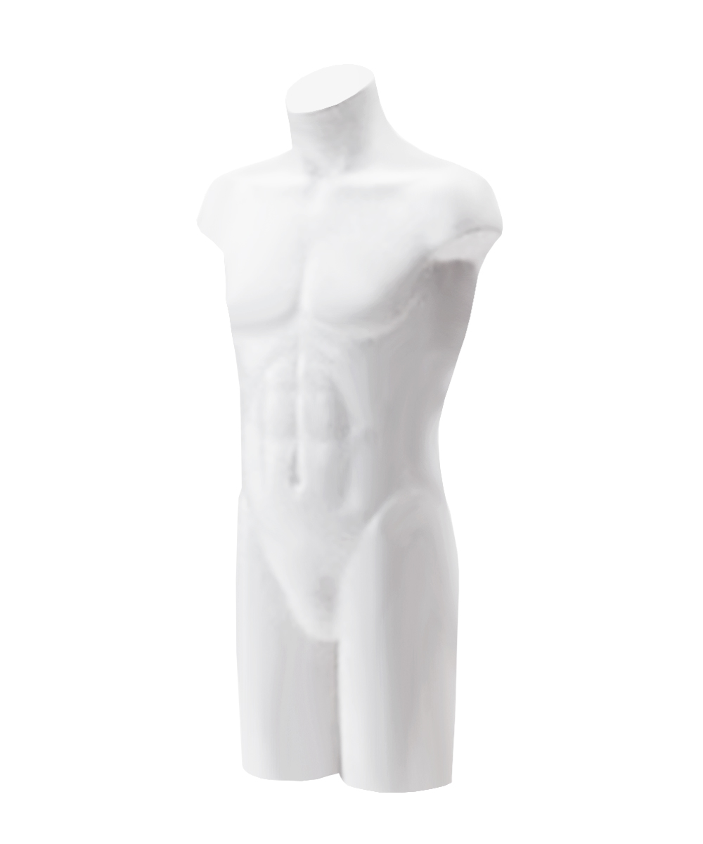 紳士トルソー ST670｜トルソー（FRP）レンタルならアディスミューズ