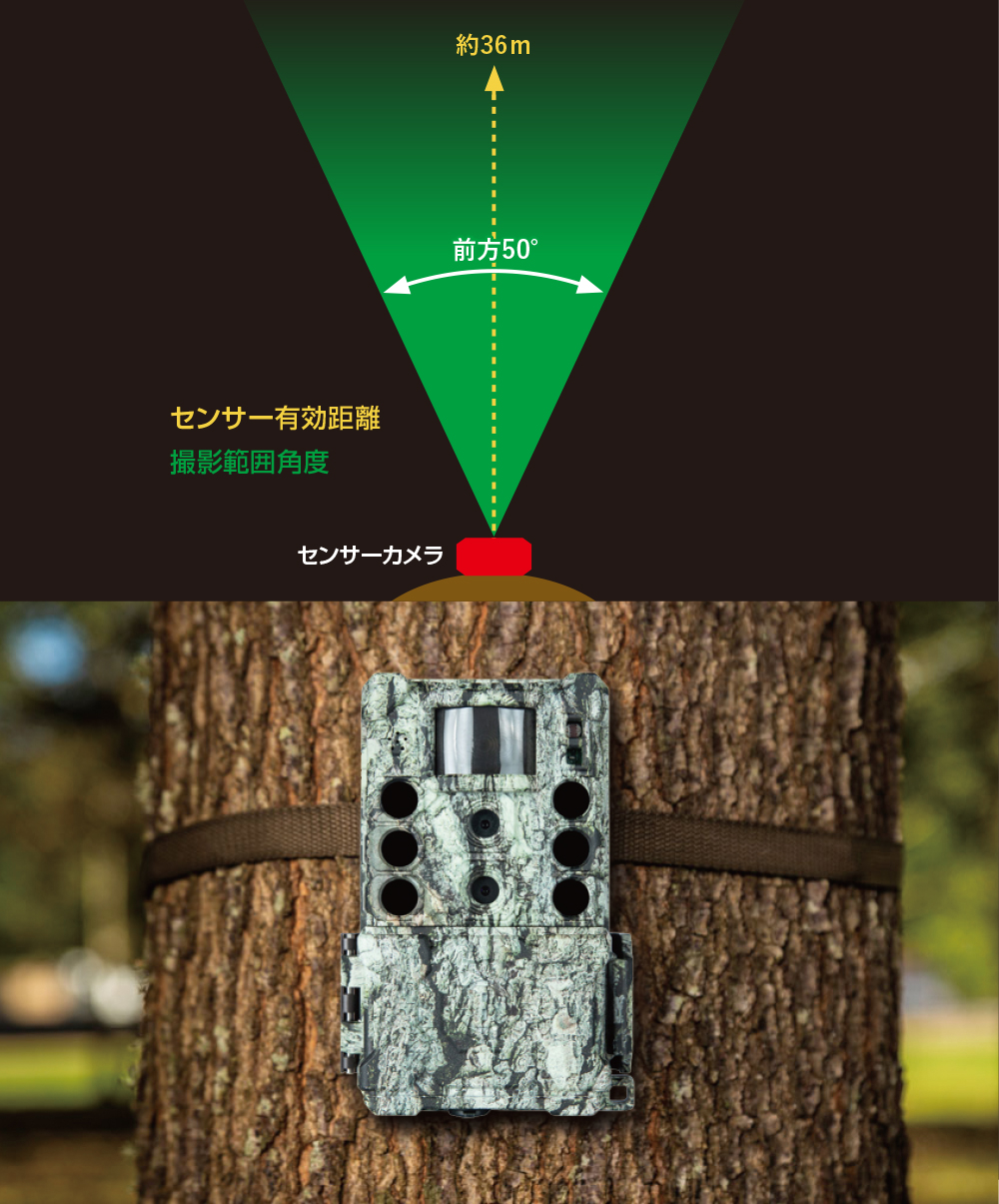 屋外型センサーカメラ トロフィーカム(Bushnell)｜阪神交易