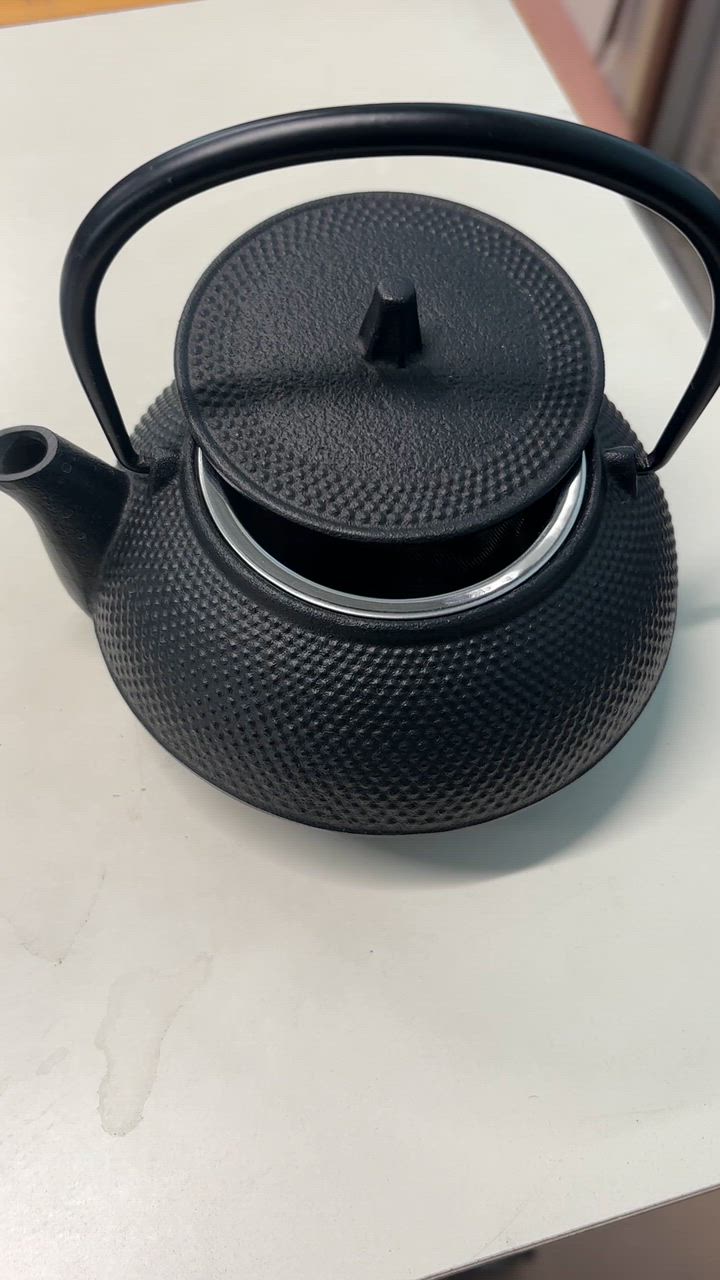 岩鋳（IWACHU） 鉄瓶兼用急須 5型アラレ 茶こし付き 南部鉄器 鉄瓶