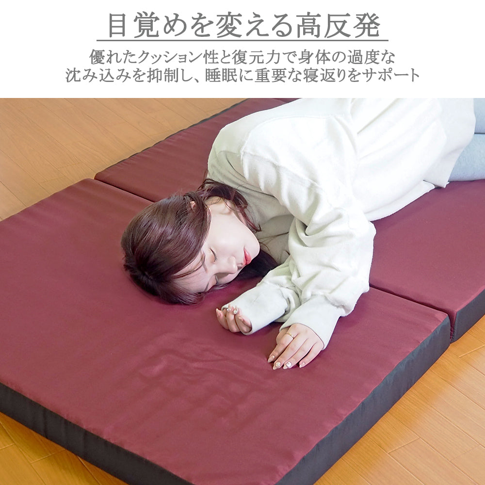 AK-332 D] 大小2つの山が身体を支える体圧分散マットレス ダブル