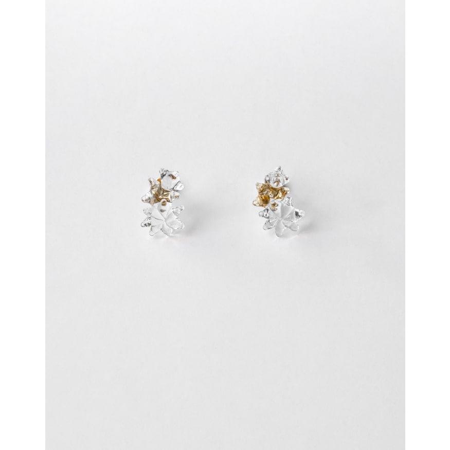 2002年会員限定 SWAROVSKI スワロフスキー Isadora スワロフスキー