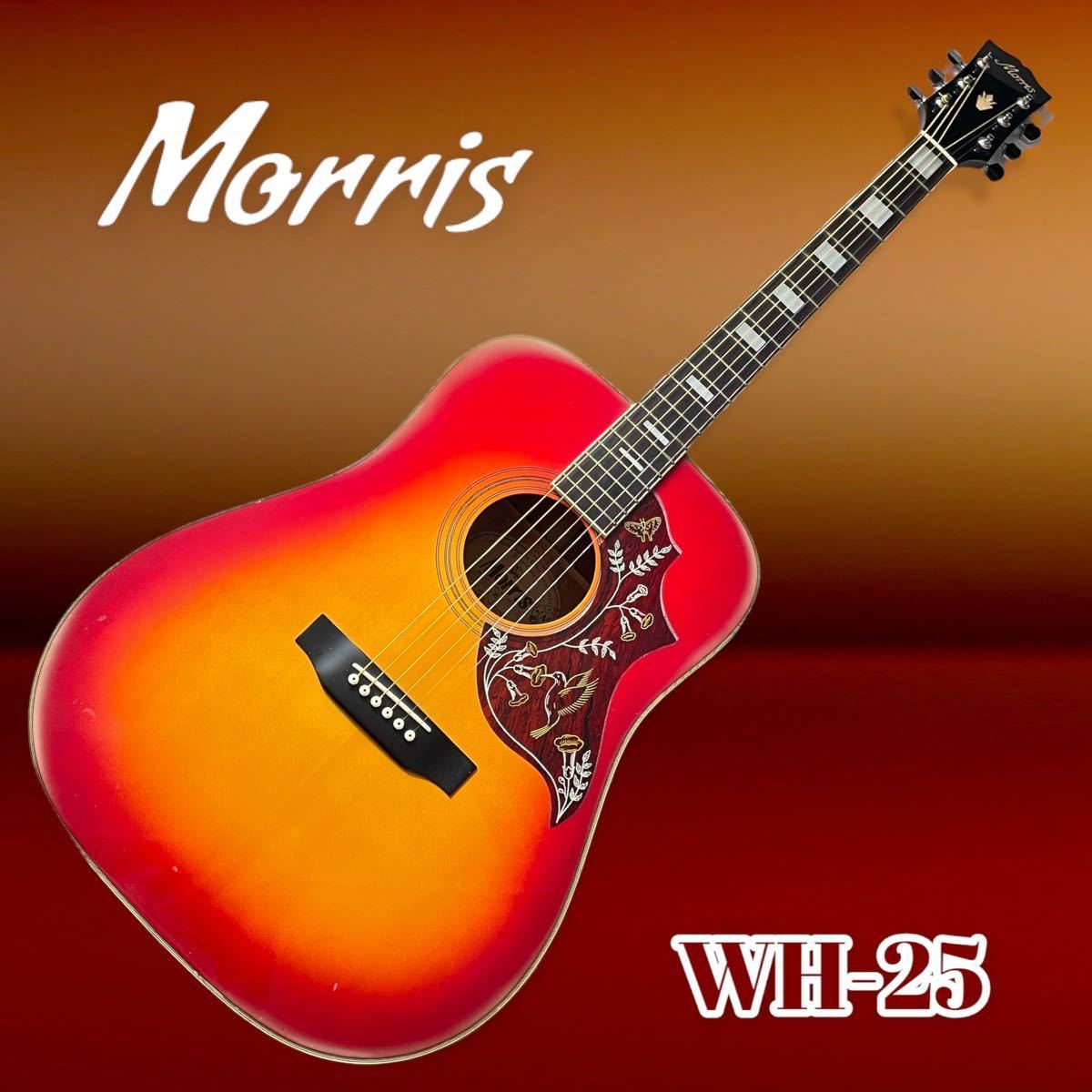 Morrisモーリス ハミングバード WH-25 Morrisモーリス ハミングバード