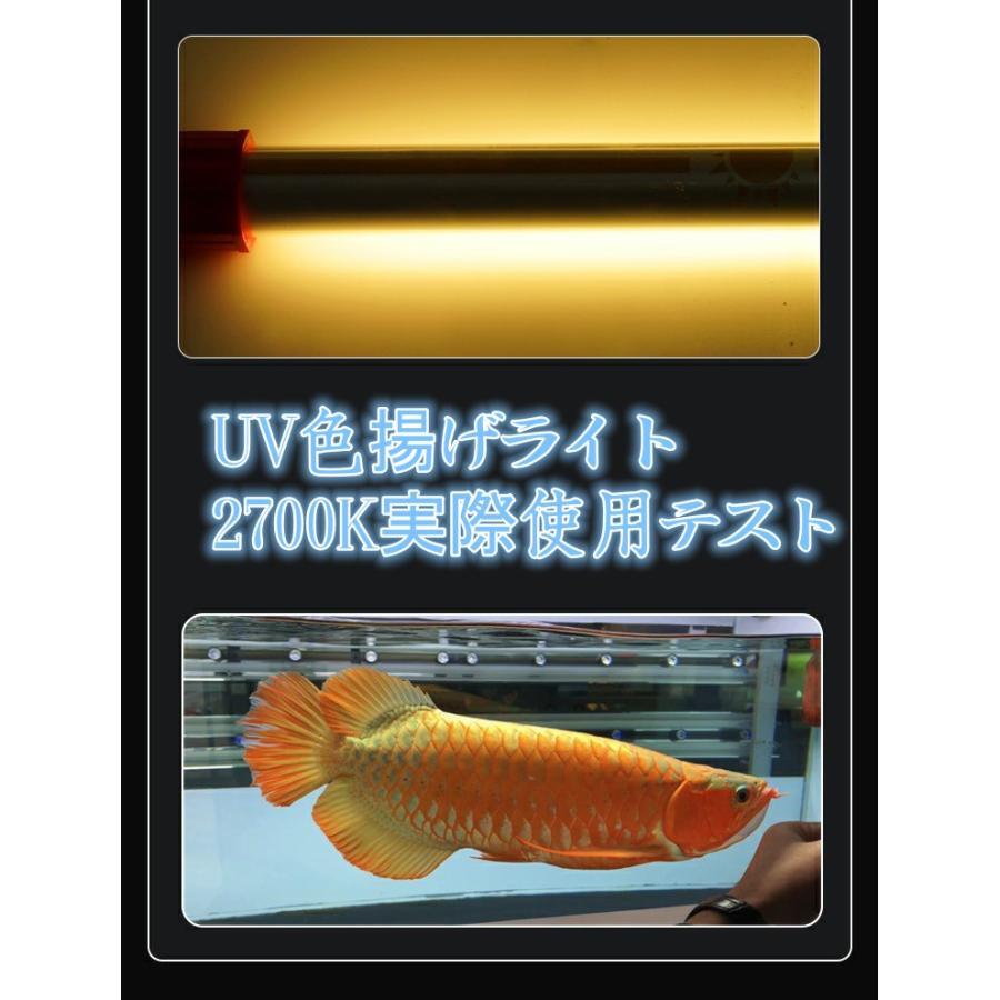2700k- 142cm Mayin マイン馬印テンニングライト セラミックエミッタ