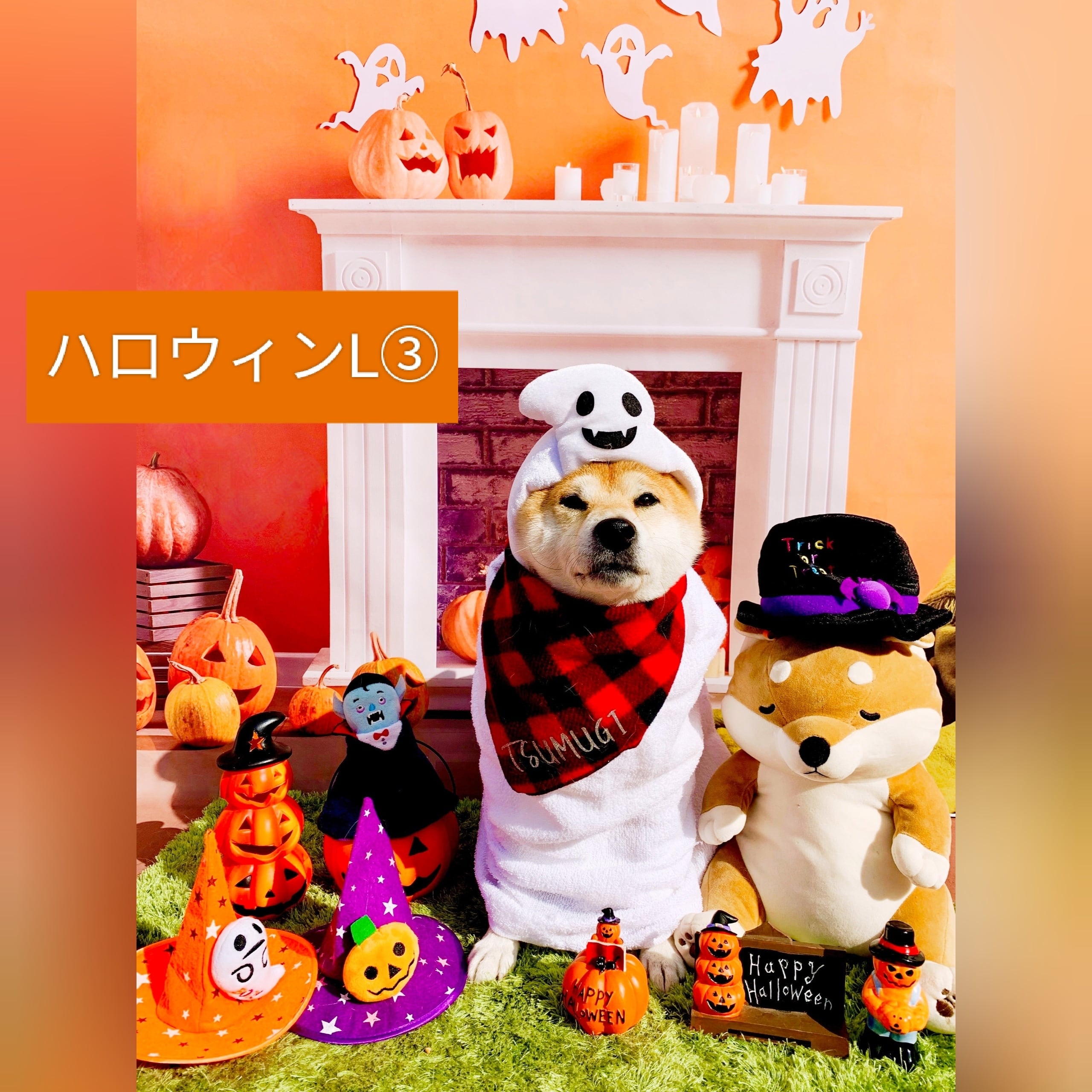 ハロウィン 業務用フェルトトリミングチョーカー 背景布×2枚 ペット