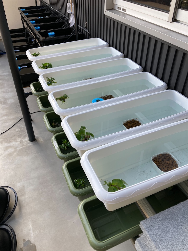 メダカマンション 3段タワー【受け取り限定】 ①メダカのマンション