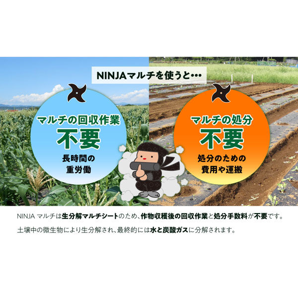 オーミヤ NINJAマルチ 200m MS-64BK200 1枚 - アスクル