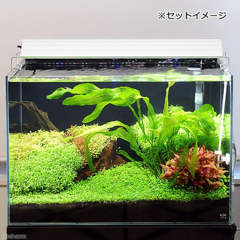 ADA アクアスカイ 602 照明 LED