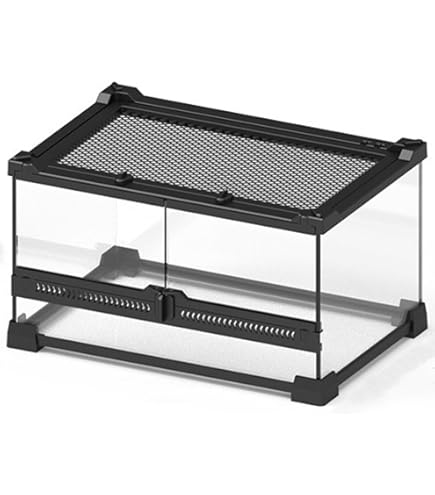 Amazon | ガラスケース&カバーセット 400High | GEX | ふた 通販