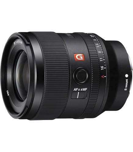 Amazon.com : Sony SEL35F18F FE 35mm F1.8 Large-Aperture Wide-Angle