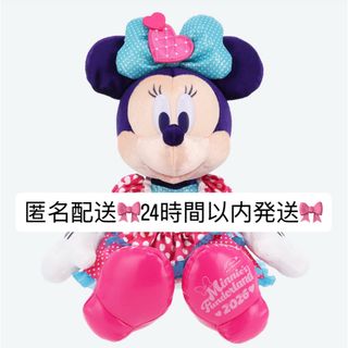 Disney - ミニパル ぬいぐるみ ミニーのファンダーランドの通販 by