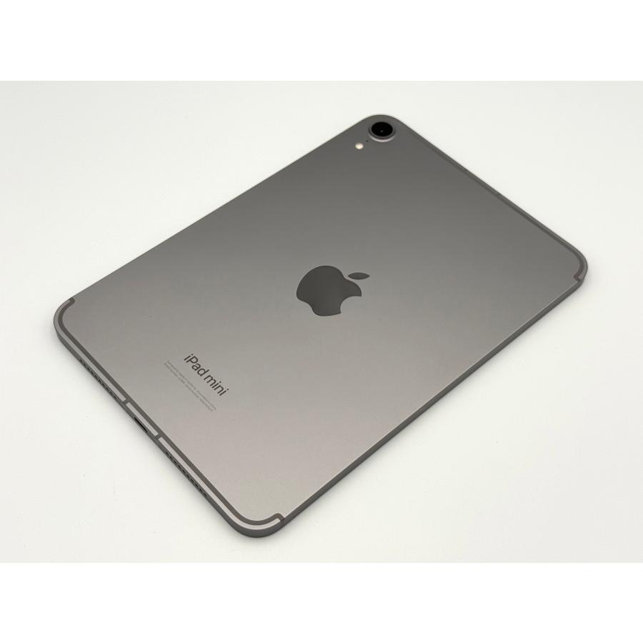 iPad mini (A17 Pro・第7世代）128GB グレー Wi-Fi iPad mini （A17
