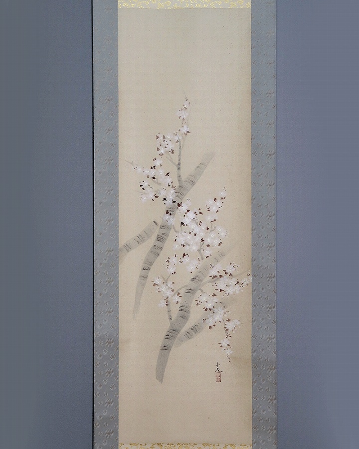 美品 掛け軸 辰本青花作 藤図 共箱 おもてなし 辰本青花 / 夜桜 | 掛軸