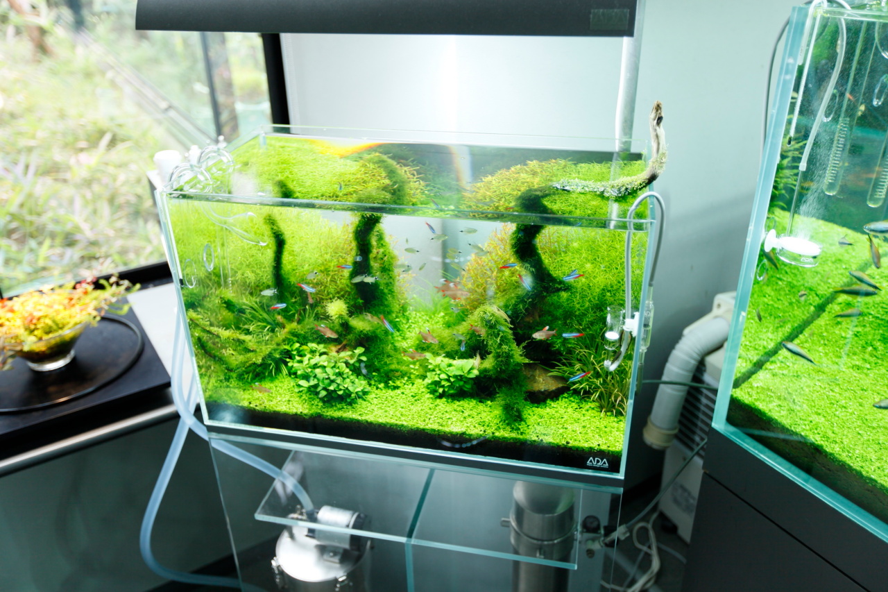 ada 6045水槽 ADA CUBE GARDEN 水槽 60×30×45cm キューブガーデン新