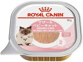 Amazon | ロイヤルカナン FHN-WET マザー＆ベビーキャット 猫用 100g