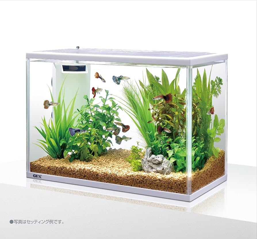 水槽 Cherie ジェックス マリーナ幅60cm水槽LOW MR600BKL-N（4972547042156