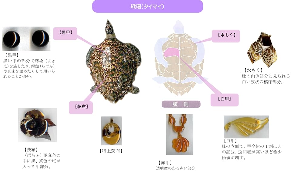 Amazon | ［べっ甲本舗］ 白べっこう櫛 AZ-0001 | 和装小物 通販