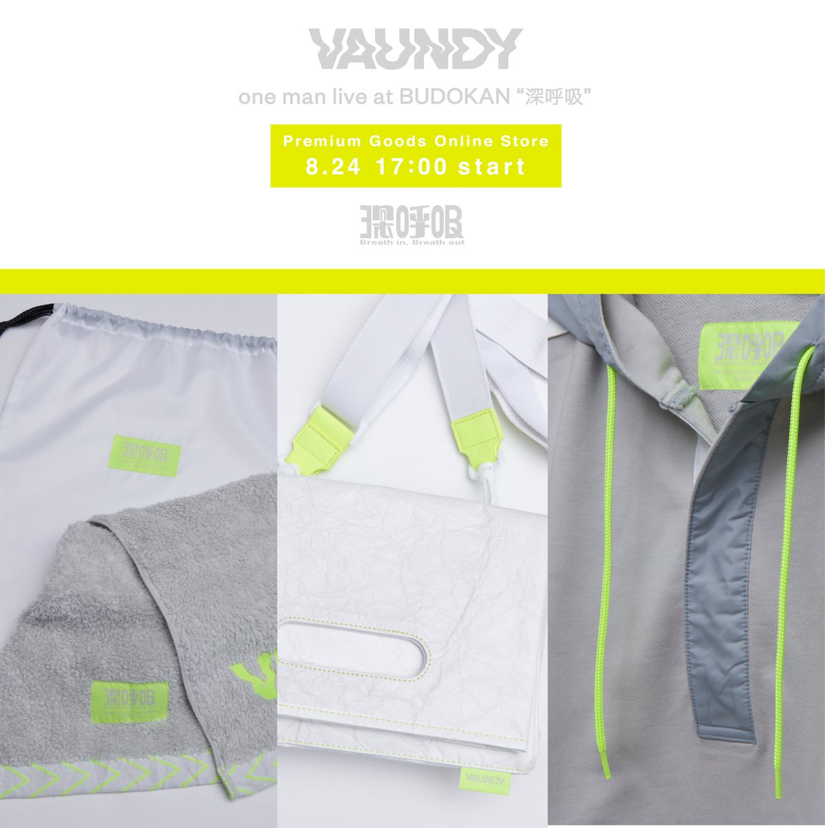 Vaundy one man live at BUDOKAN 