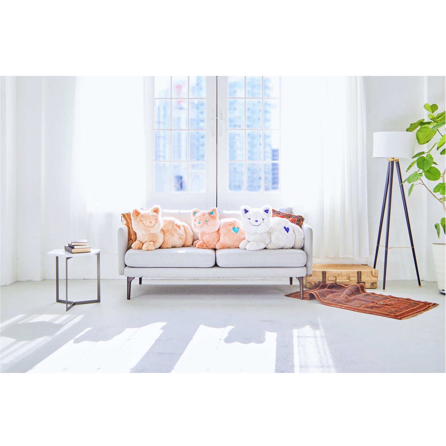 リイシューねこちゃん Grande / Apricot Beige – KENSHI YONEZU ONLINE
