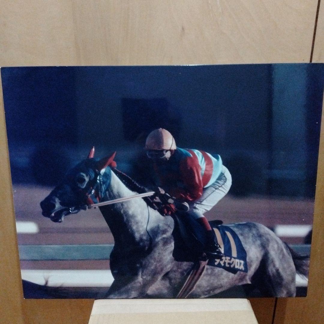 稲妻２世芦毛タマモクロス写真パネル（１９８８年１２月２５日中山有馬記念）引退記念 稲妻2世芦毛タマモクロス写真パネル（1988年12月25日中山有馬