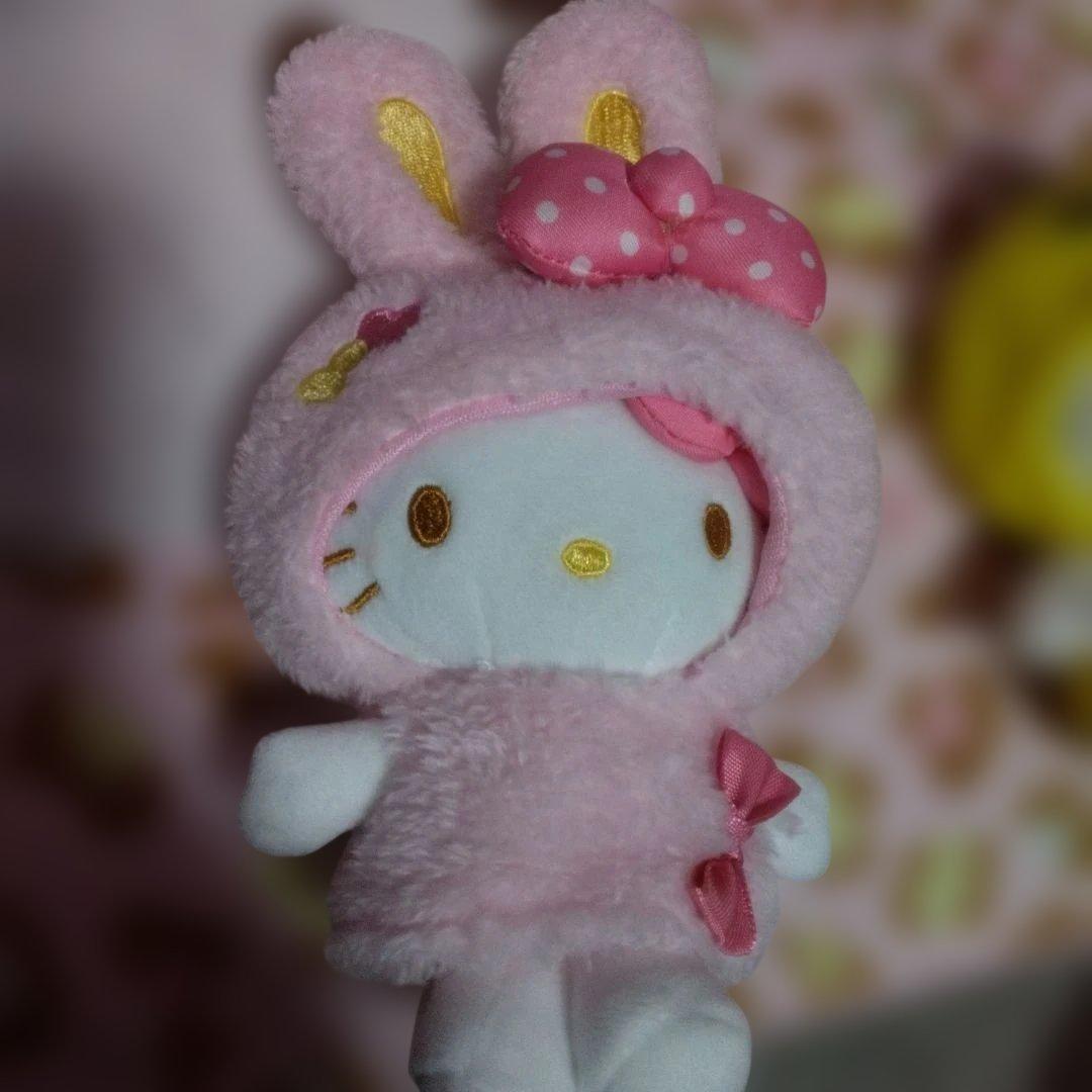 超激レア‼️レトロ‼️キティ 着ぐるみ‼️9 体セット‼️