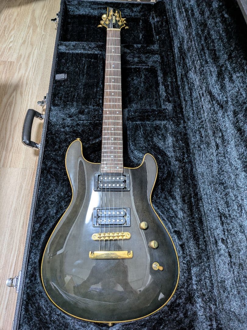 FERNANDES APG 100 24F仕様 FERNANDES APG-100 24F【レア】 FERNANDES APG-100 24F【レア】