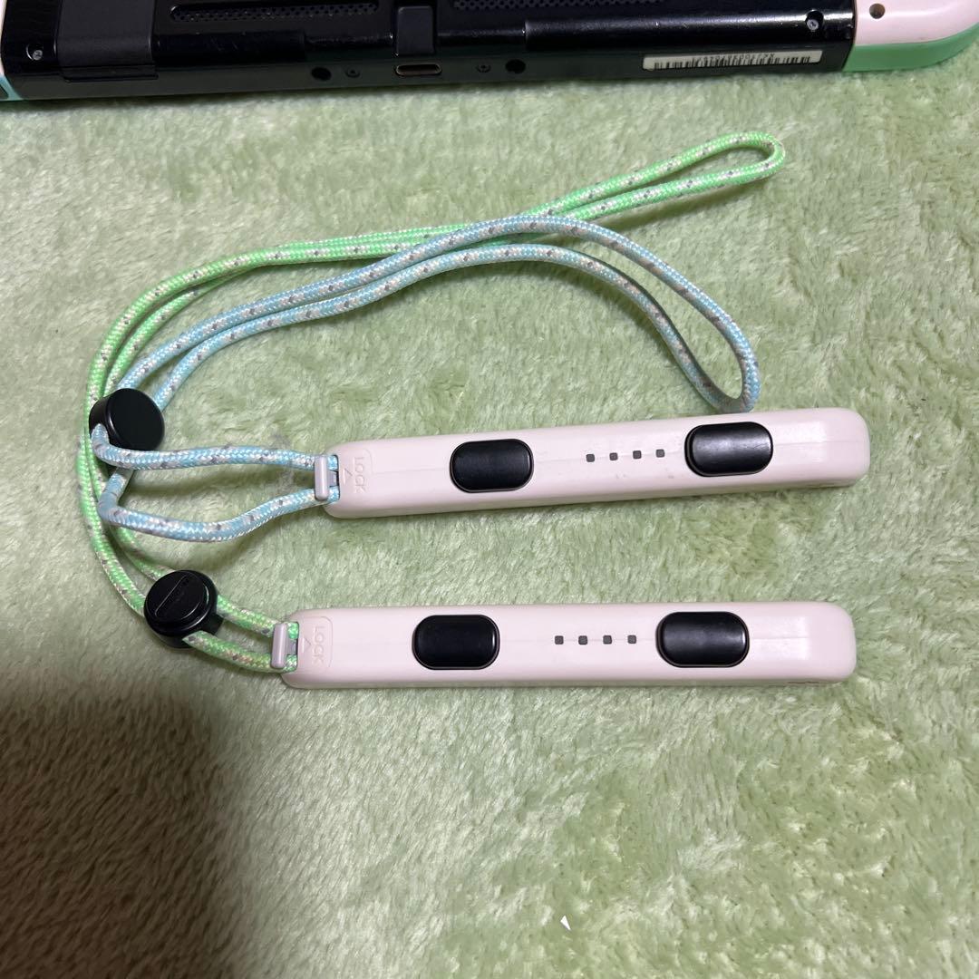 n*i様 Nintendo Switch あつまれ どうぶつの森 セット（ソフト