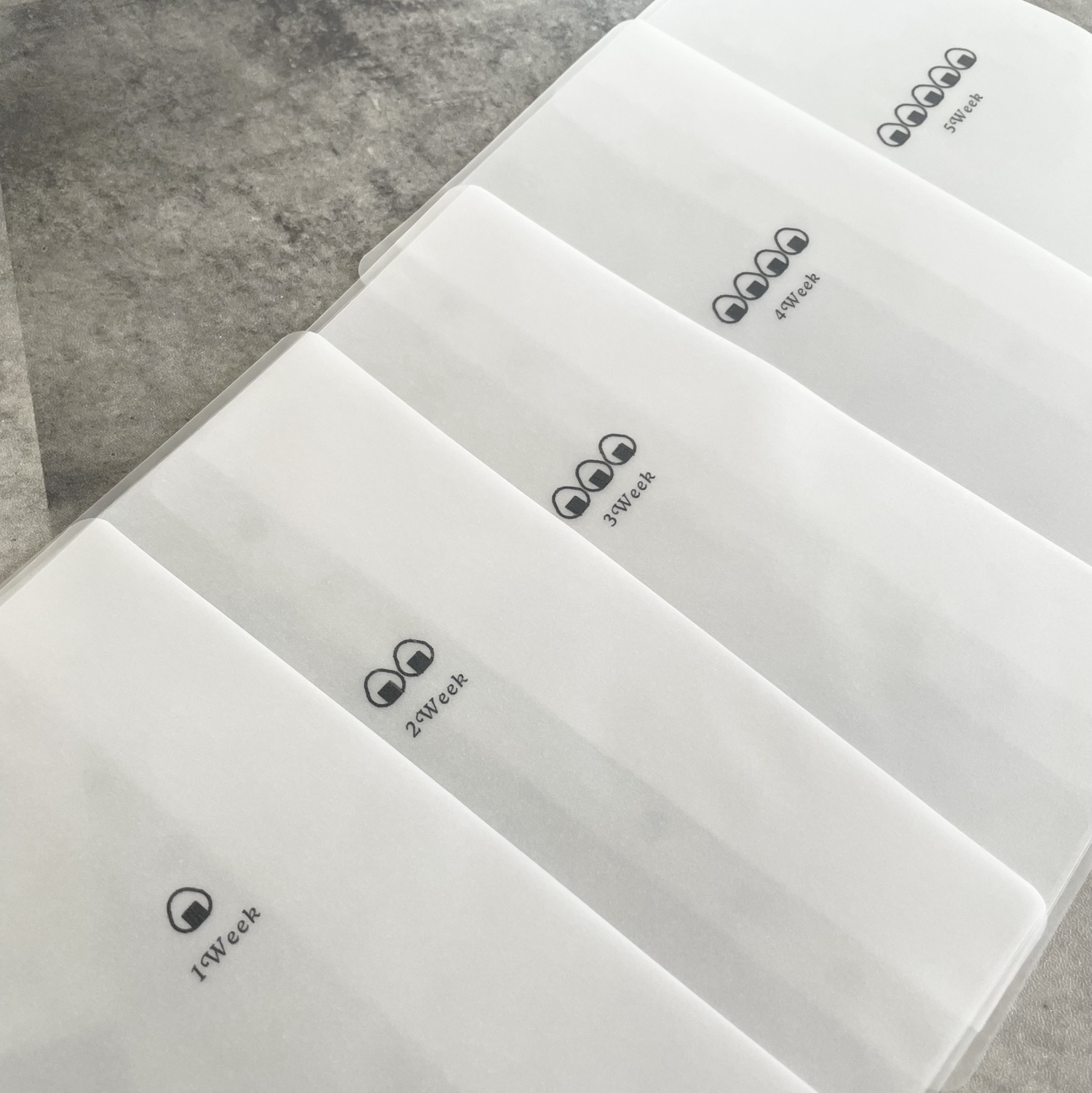 猫の日限定】A6 リフィル 5枚セット saving 貯金 韓国 お金管理